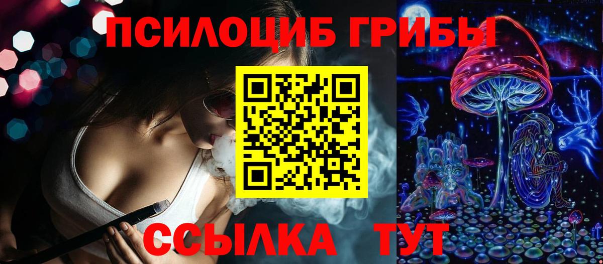 Новосибирск  Псилоцибиновые грибы Psilocybine cubensis  наркотики  Вход с VPN 