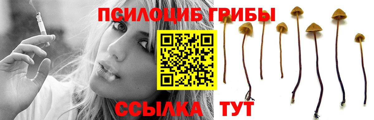 Псилоцибиновые грибы MAGIC MUSHROOMS Новосибирск