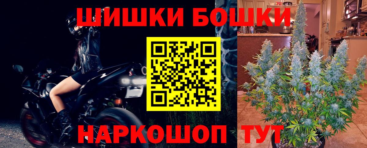 МЕФ Новосибирск